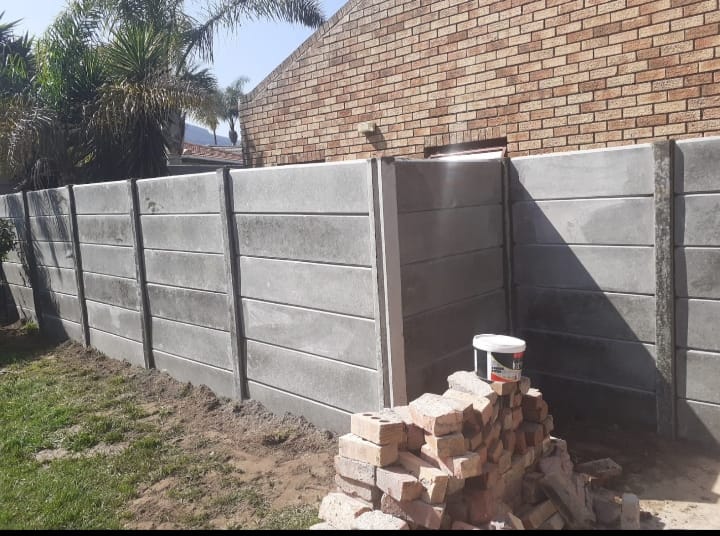 whatsapp-image-2025-05-05-at-231256-8ebc3a3b